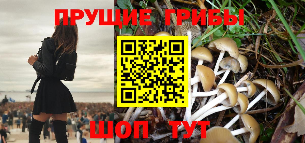 Псилоцибиновые грибы Magic Shrooms  Вход с VPN  Верхняя Салда 