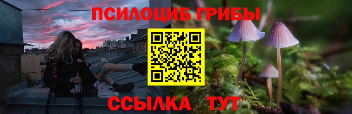 Галлюциногенные грибы Magic Shrooms Верхняя Салда